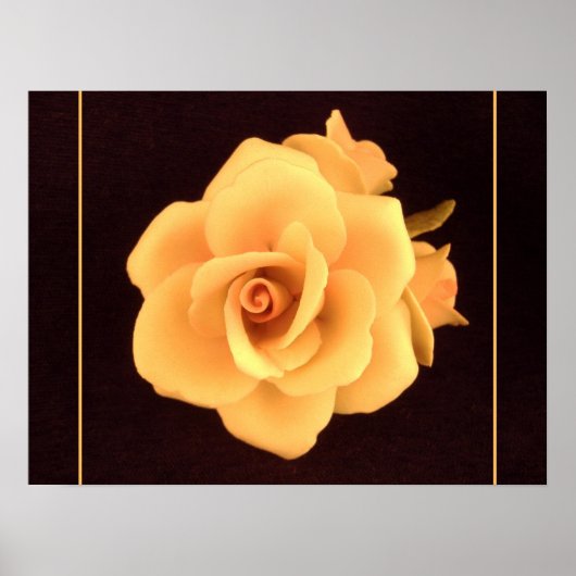 Gelbes Rose, Foto 2004. Poster (Vorne)