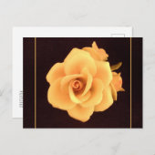 Gelbes Rose, Foto 2004. Postkarte (Vorne/Hinten)