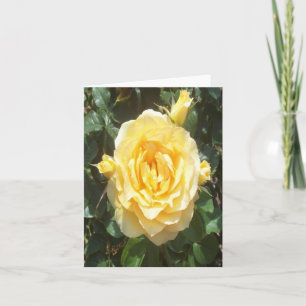 Gelbes Rose Foto Faltkarte