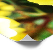 Gelbes Rose Foto ~ Leben ist Veränderung, wählen S Poster (Ecke)