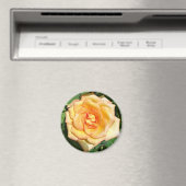 Gelbes Rose Foto Rundmagazin Magnet (In Situ (Geschirrspüler))