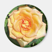 Gelbes Rose Foto Rundmagazin Magnet (Vorne)