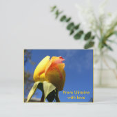 Gelbes Rose Set Postkarte (Stehend Vorderseite)