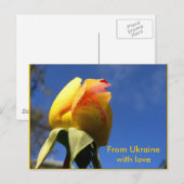Gelbes Rose Set Postkarte (Vorne/Hinten)