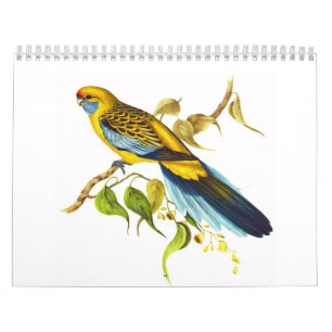 Gelbes Rosella Kalender
