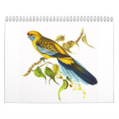 Gelbes Rosella Kalender (Titelbild)