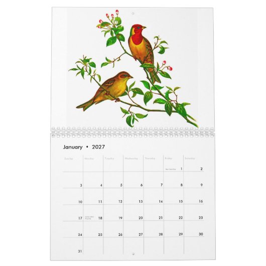 Gelbes Rosella Kalender (Jan 2027)