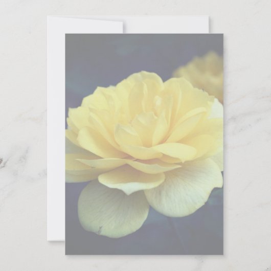 Gelbes Rosenblumenöl-Party Einladung (Rückseite)