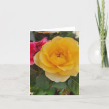 Gelbes Rosenblut für Mama