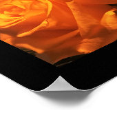 Gelbes Roses-Foto Poster (Ecke)