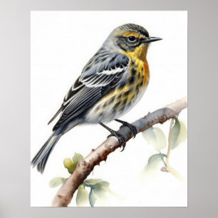 Gelbes Rumped Warbler Bird Art Print Poster