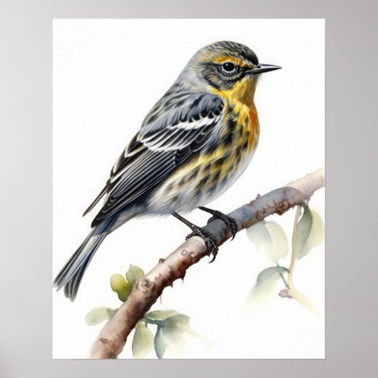 Gelbes Rumped Warbler Bird Art Print Poster (Vorne)