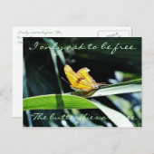 Gelbes Schmetterling in der Sonnenkarte Postkarte (Vorne/Hinten)