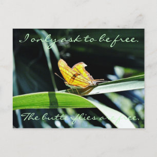 Gelbes Schmetterling in der Sonnenkarte Postkarte