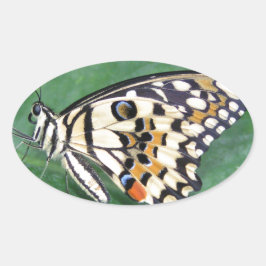 Gelbes Schwarzes und Weiß-Schmetterling auf der li Ovaler Aufkleber