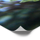 Gelbes Seepferd Poster (Ecke)