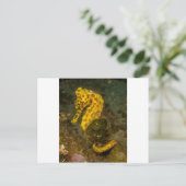 Gelbes Seepferd Postkarte (Stehend Vorderseite)