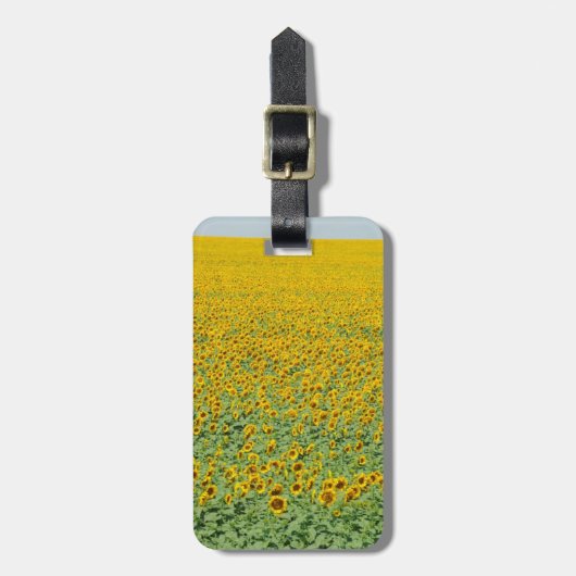 Gelbes Sonnenblume-Feld Gepäckanhänger (Vorderseite vertikal)