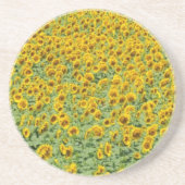 Gelbes Sonnenblume-Feld Getränkeuntersetzer (Vorne)