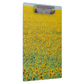 Gelbes Sonnenblume-Feld Klemmbrett (Rechts)