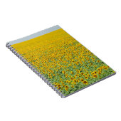 Gelbes Sonnenblume-Feld Notizblock (Rechte Seite)