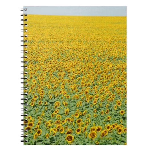 Gelbes Sonnenblume-Feld Notizblock (Vorderseite)