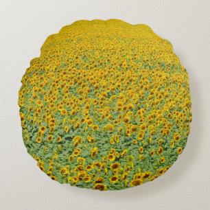 Gelbes Sonnenblume-Feld Rundes Kissen