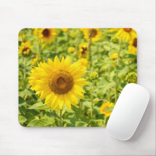 Gelbes Sonnenblumenfeld Mousepad