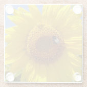 Gelbes Sonnenblumengetränk Glasuntersetzer (Rückseite)