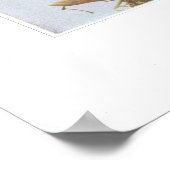 Gelbes Sterngras - Hypoxis hirsuta Poster (Ecke)