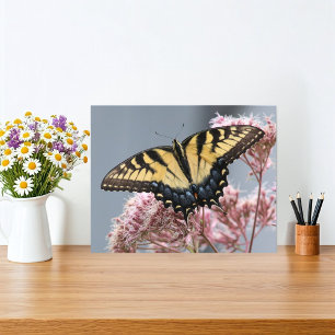 Gelbes Tiger Frack Schmetterling auf rosa Blume Fotodruck