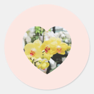Gelbes tropisches Herz der Orchideen Blume Runder Aufkleber