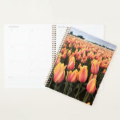 Gelbes und rosa Tulip Field, Oregon Planer (Anzeige)