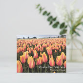 Gelbes und rosa Tulip Field, Oregon Postkarte (Stehend Vorderseite)