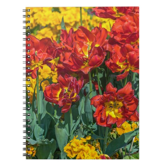 Gelbes und rotes Blumennotizbuch Notizblock (Vorderseite)