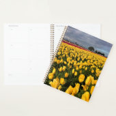 Gelbes und rotes Tulip-Feld, Oregon Planer (Anzeige)