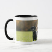 Gelbes und schwarzes Labrador Schwarz-Behandelte Tasse (Links)
