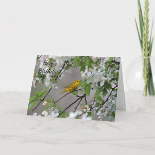 Gelbes Warbler und Frühlingsblüten Karte