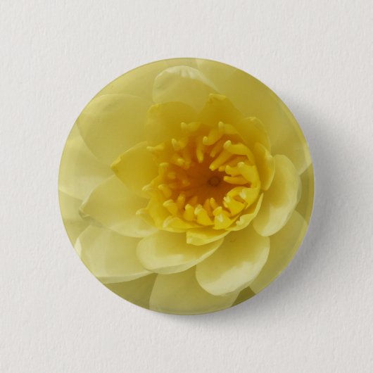 Gelbes Wasser-Lilien-Knopf Button (Vorderseite)