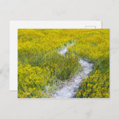 Gelbes Wildblume Postkarte (Vorne/Hinten)