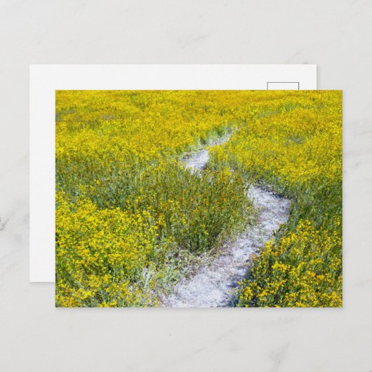 Gelbes Wildblume Postkarte (Vorne/Hinten)