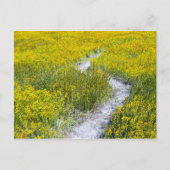 Gelbes Wildblume Postkarte (Vorderseite)