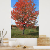 Gelbfall-Ahornbaumlandschaft Poster (Küche)