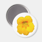 Gelbfarbener Nasturtium-Blume-Magnet Magnet (Vorderseite/Rückseite)