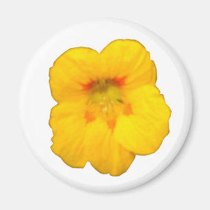 Gelbfarbener Nasturtium-Blume-Magnet Magnet