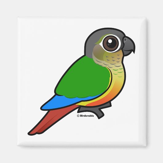 Gelbfärbung Magnet (Vorne)