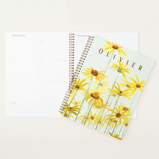 Gelbfärbung Planer (Anzeige)