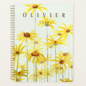 Gelbfärbung Planer (Vorderseite)