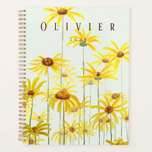 Gelbfärbung Planer (Vorderseite)