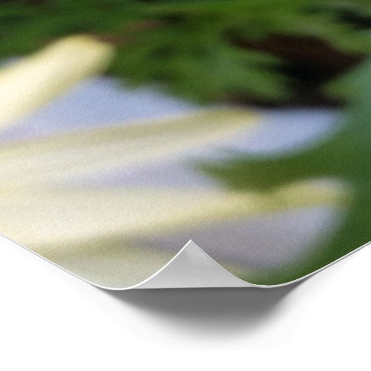 Gelbfärbung Poster (Ecke)